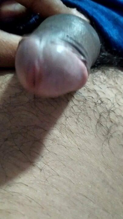 Cock