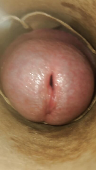 POV: Cummin' Inside of You