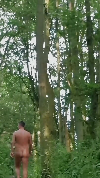 Fully Naked Walk in a Forest