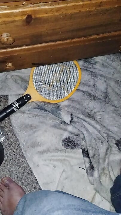 Menahan mani muncrat