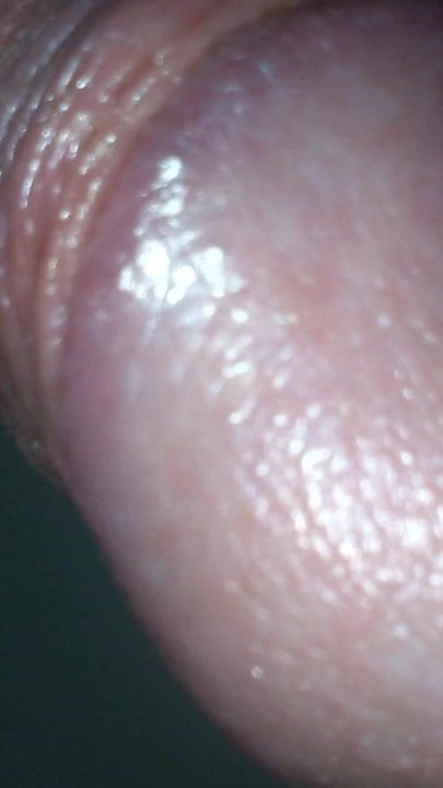 Cock