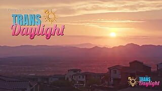 Trans Daylight