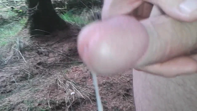 wanking in the forest 3
