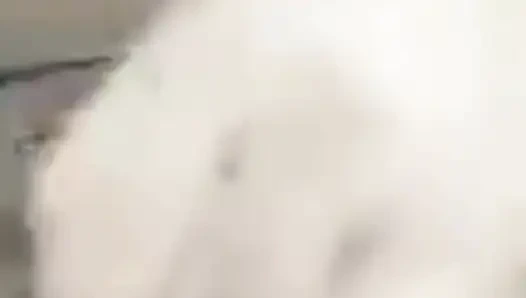 Video rekaman seks gadis india xhamster papan atas! Wajib nonton!