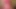 Ladyboy in pink lingerie shows sexy ass in panties and wanks