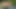 Arkadaşıyla parkta bir porno videosu yapıyor