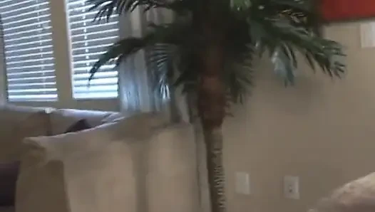 Mia Solo