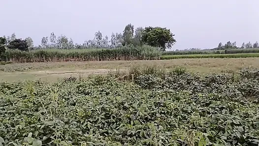 Newly Married Indian Couple First Night Sex Huge Cum on Face Big Cock