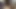 Pawg Doggystyle Cumshot Torso Sex Toy