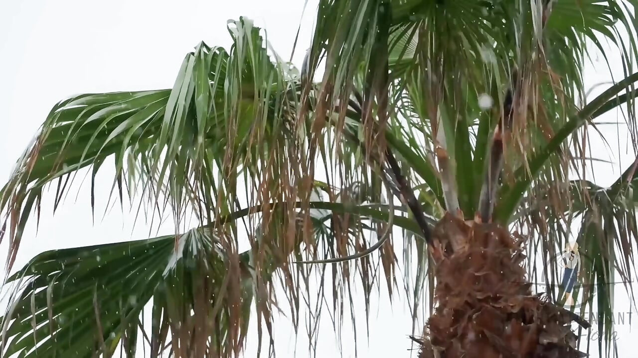 Afrikenp0rnking e eu nos conhecemos através de um amigo