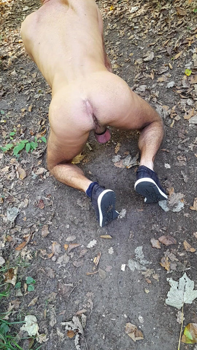exhibion flash forest nude road