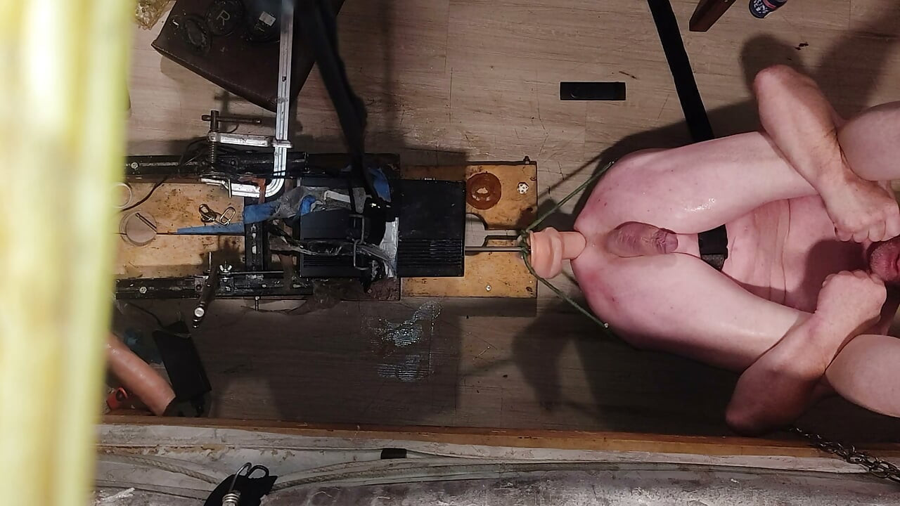 Lost bet with AI wife