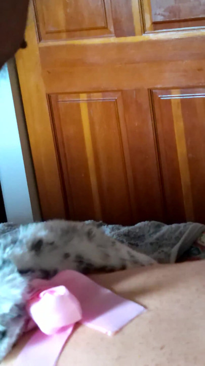 Dogging the Kitten