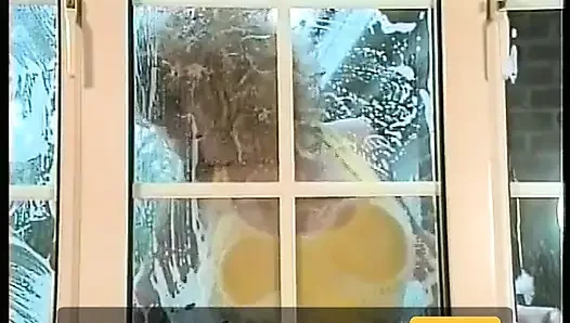 The Window Cleaner