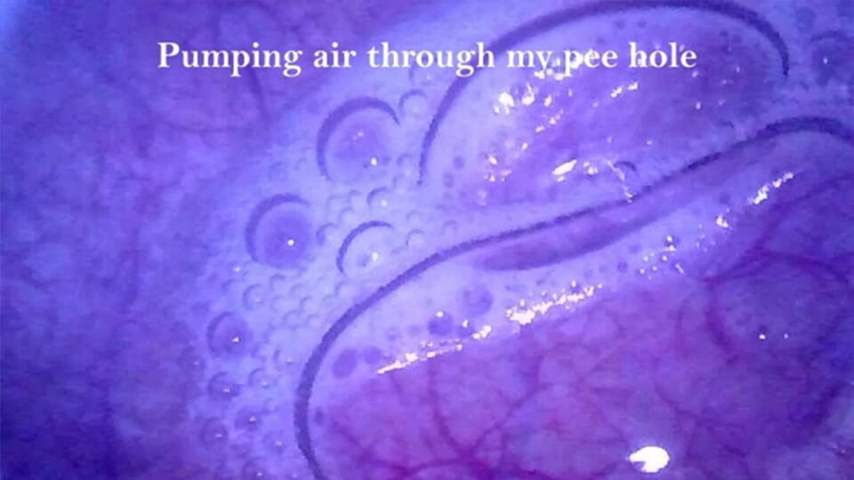 I really love taking a look into my deepest insides!