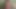 途中で母が私をからかっていた