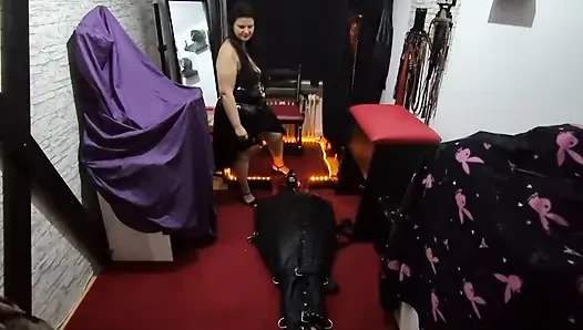 Mature Dominatrix Facesits Bound Slave with Dripping Pussy Shock