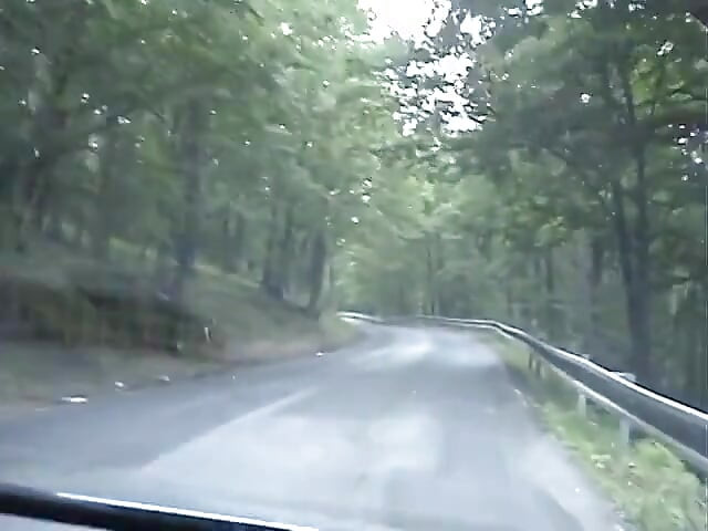 European teen picked up and fucked on the side of the road