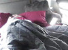 Pregled videozapisa