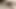 Tiny limp penis and pissing