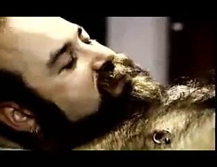 Ursos executivos - lança