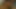 Yeni evli desi açık havada Hintli güzel çiftlerin üvey kız kardeşi -snapchat143