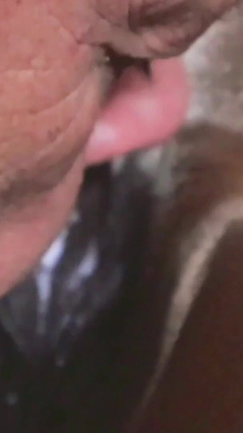 Stunning moment from "Pussy eating compilation Black milf gets eaten by her white lover"