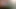 Introducing Ourselves - Then Fucking