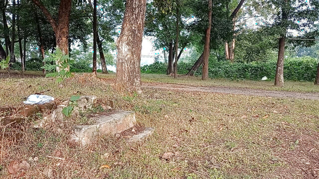 אימון הלגימה שלך השאר את הבחורה בחיקך