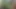 Jerking off naked in woods 2018