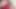 Thai ladyboy teasing video and cum so hard at the end 🥵