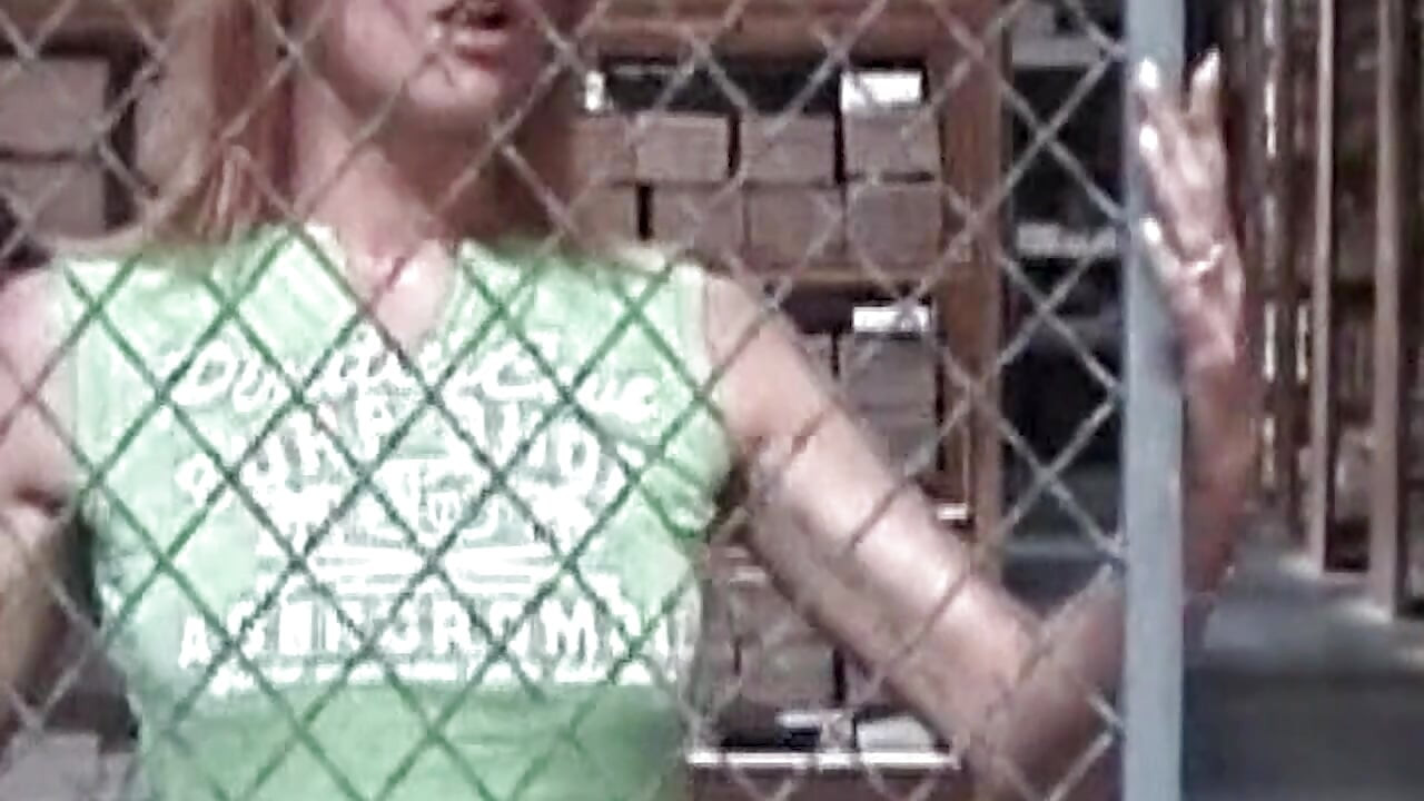 It's My Party Vol. 1 - Heiße Erotikabenteuer