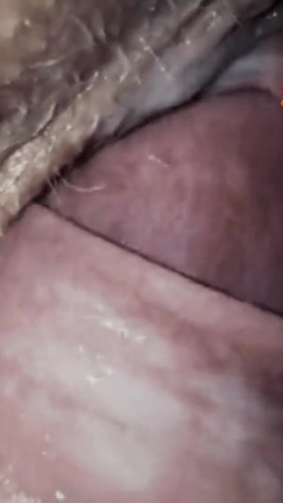 desi friend  with play ass clos up shots | Clip 3