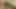 私がこれまでに得た最大のもの
