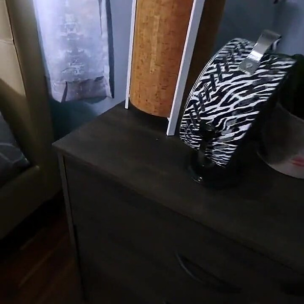 Pregled videozapisa