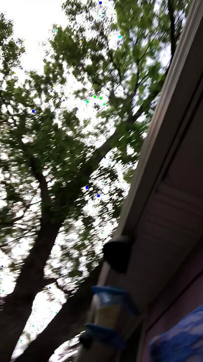 Nili les naiti men shaam ko tahalna