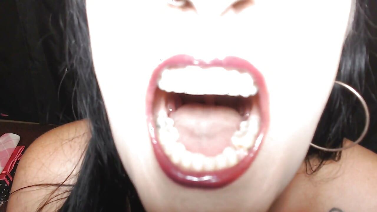 Super Mouth Tour Everything