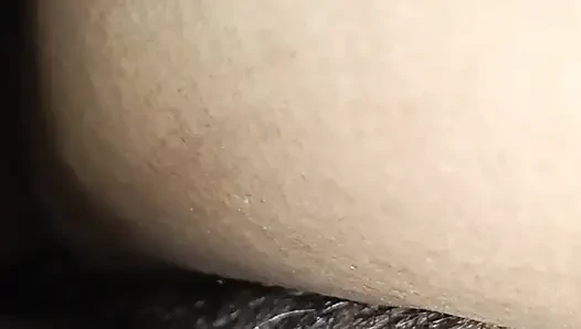 Fick meine muschi