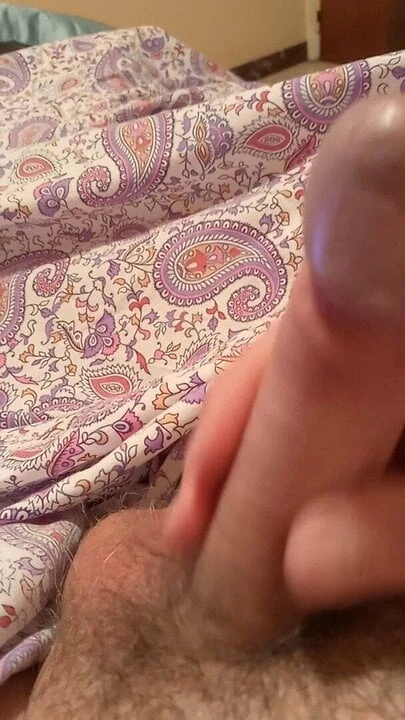 mi polla