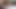 Hairy german girl screaming while assfucked