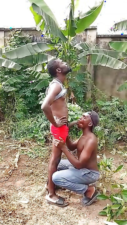 用12英寸的鸡巴钻婊子的屁股