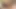 Pawg esmer kendini büyük bir yapay penis ile sikiyor – büyük orgazm