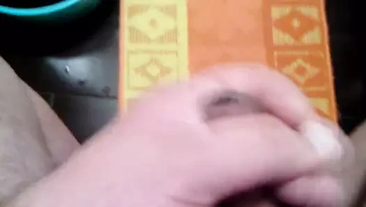 Bicie porn video – bicie konia