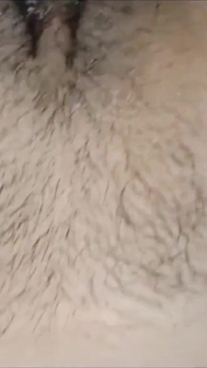 Desi village bhabhi chuda chudi. | Clip 2