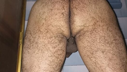 Orso cucciolo gioca con il suo dildo