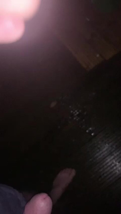 Backyard wank