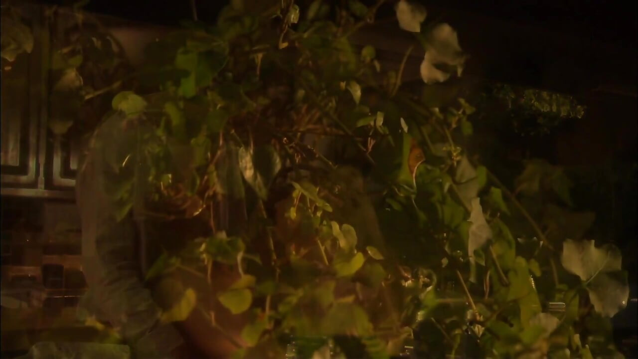 Blonde godin wordt geneukt op de keukentafel