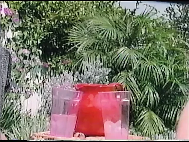 Aaee doo 3: d adar vuman (1991)
