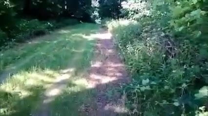 Jebene kurve gde god