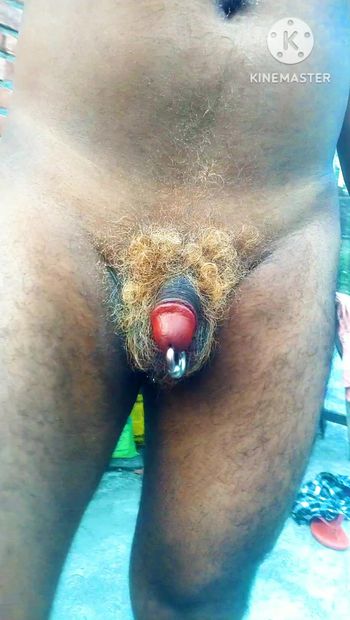 Lionman come il cazzo indiano con i piercing mostra aspetto fantastico (capelli pubici). #lionman, cazzo indiano trafitto #Holy_2024, capelli pubici colorati